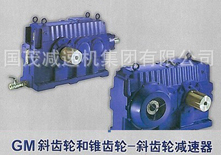GM斜齒輪、錐齒輪減速器